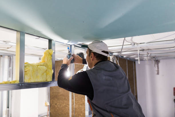 Best Residential Insulation Services  in Cotati, CA