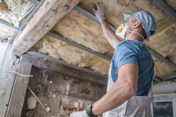 Garage Insulation Installation in Cotati, CA