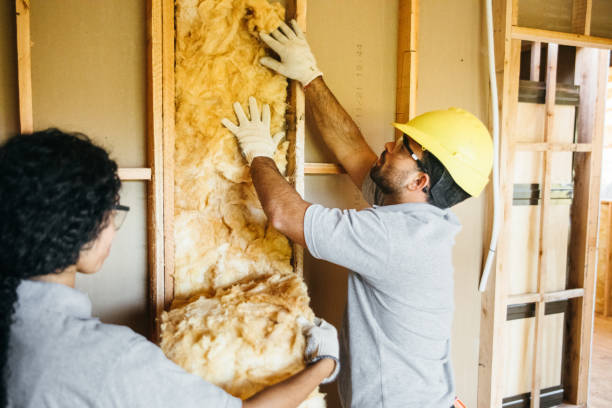 Best Insulation Replacement Services  in Cotati, CA