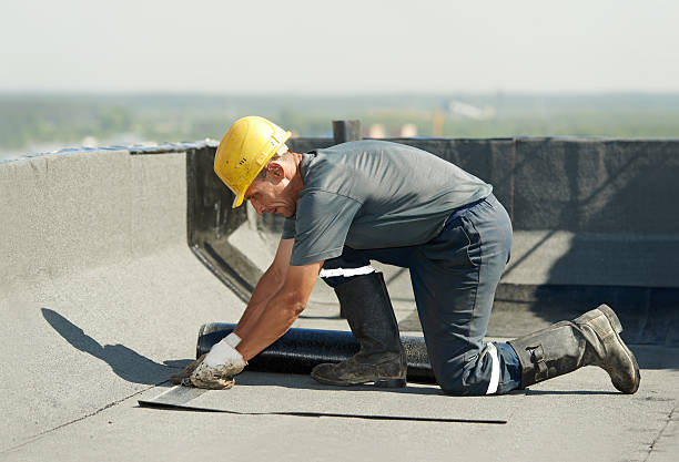 Best Affordable Insulation Services  in Cotati, CA